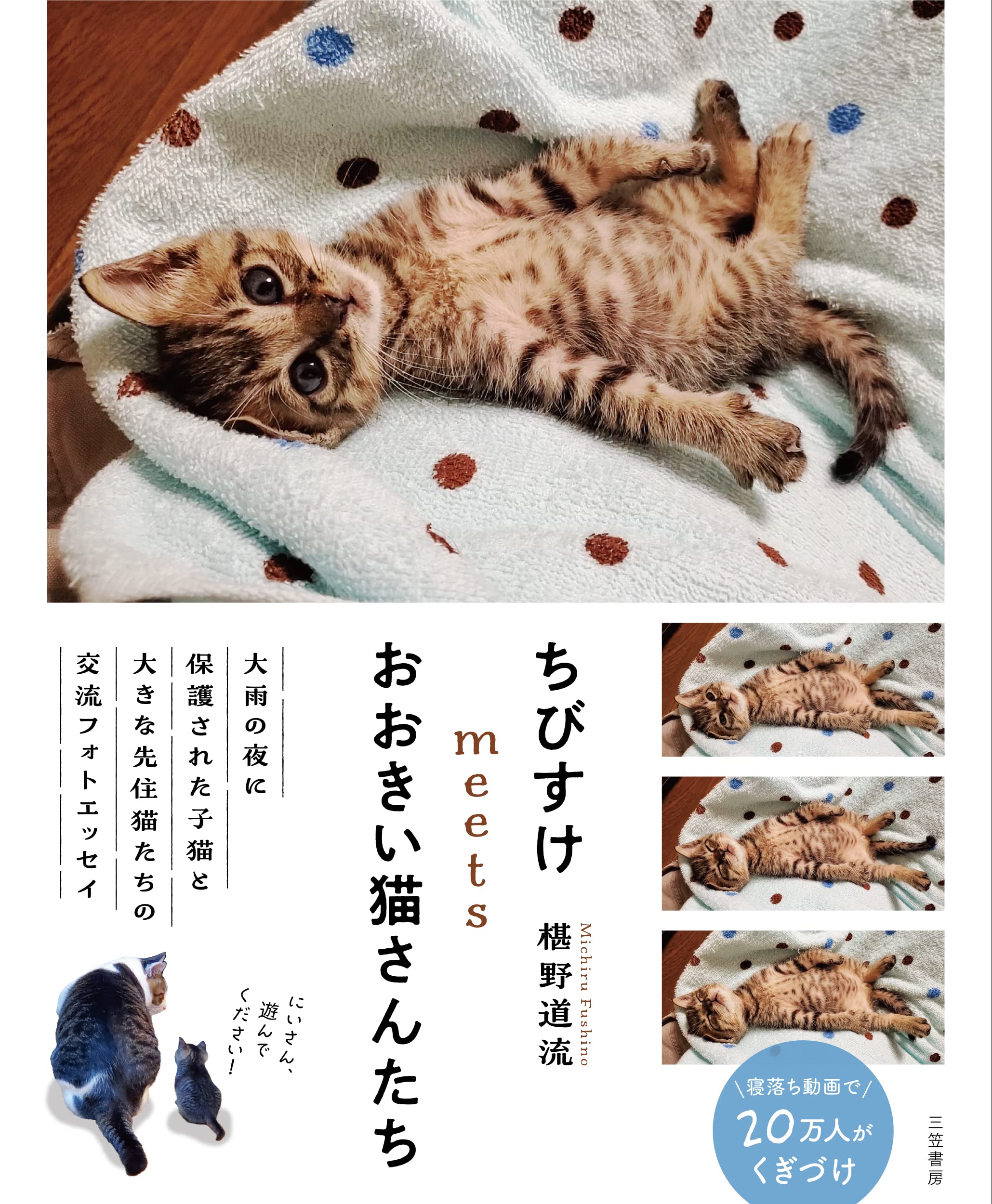 ちびすけmeetsおおきい猫さんたち (単行本) | 椹野 道流 |本 | 通販