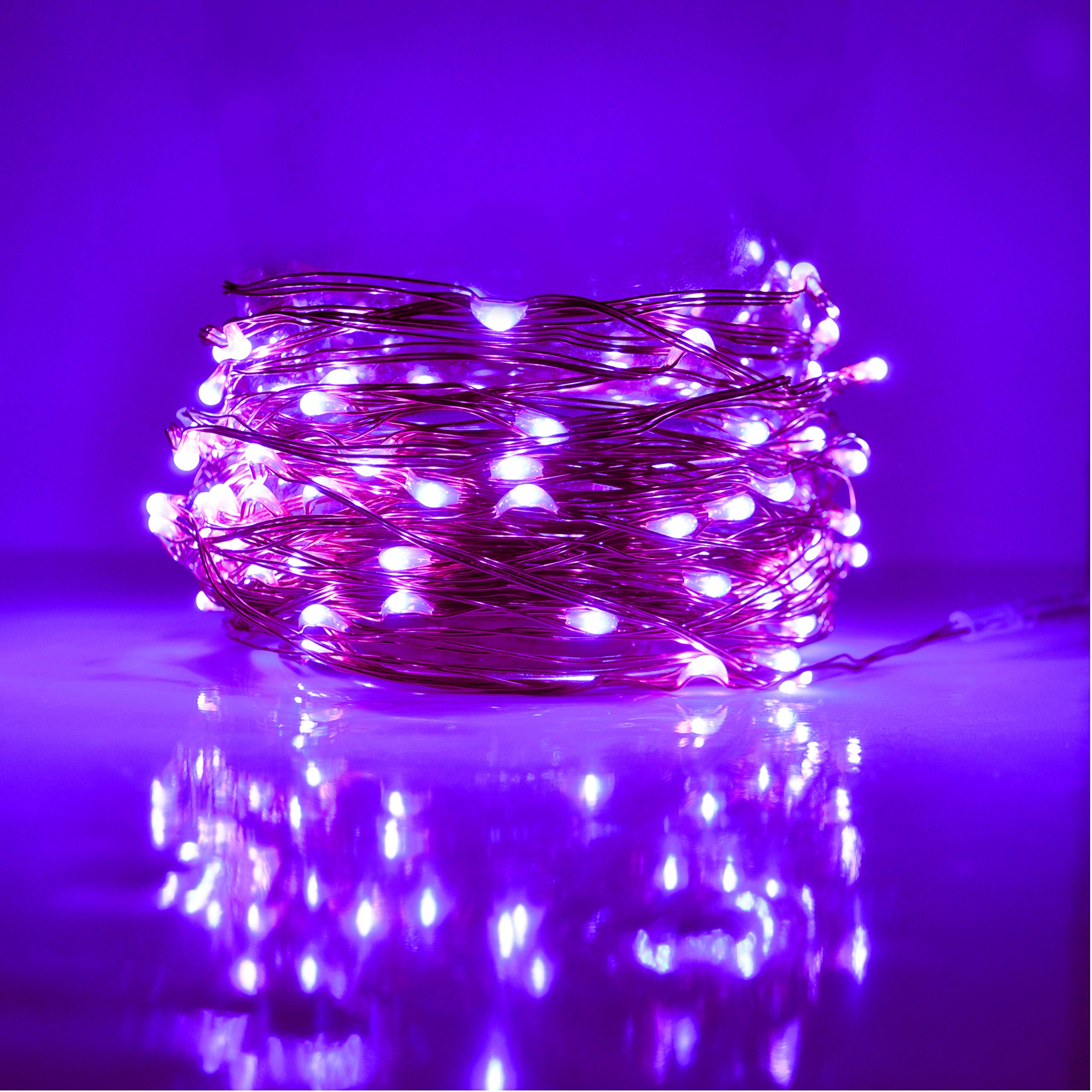 Amazon.com: Hometown Evolution, Inc. Purple LED Fairy Lights