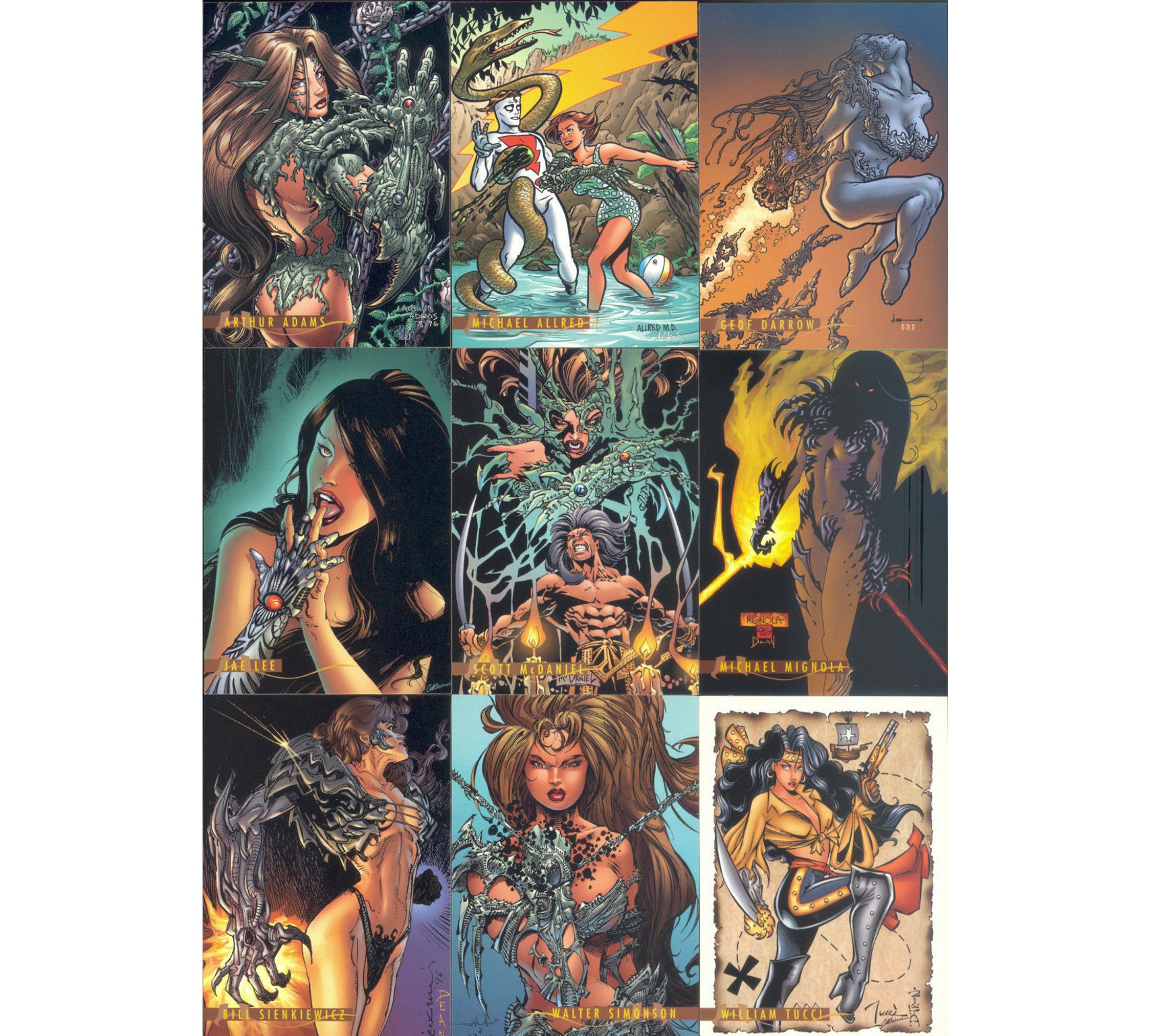 Amazon.com: Witchblade 1996 Complete Base Set of 90 Cards by Top