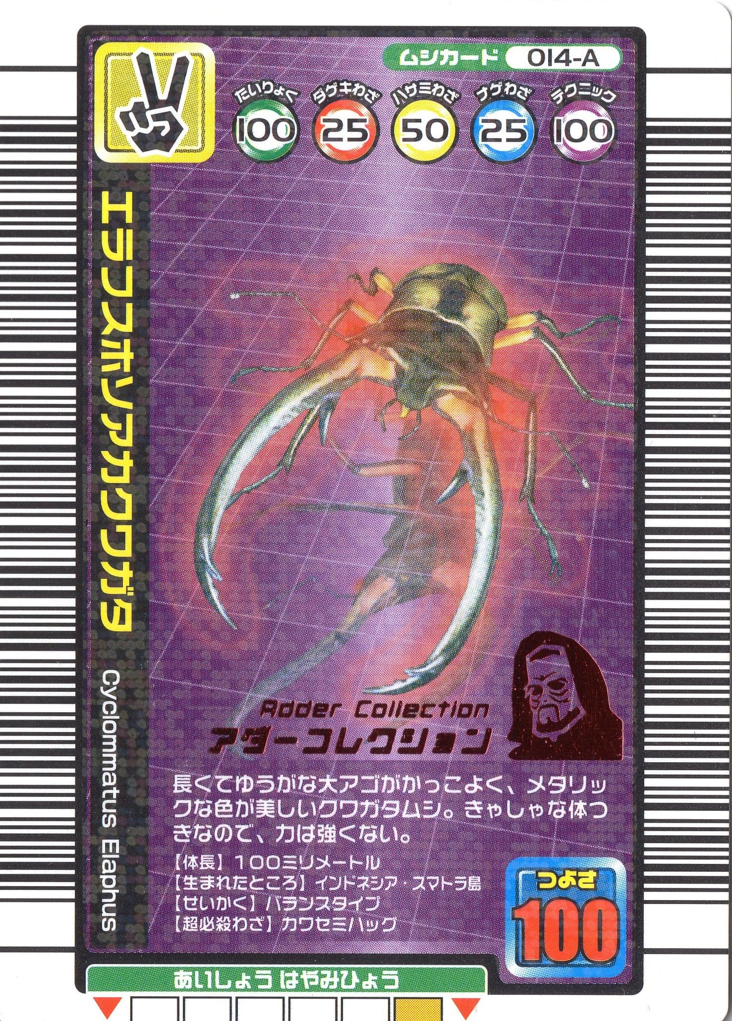 Amazon.co.jp: ムシキング MUSI-014A-1OKU エラフスホソアカクワガタ