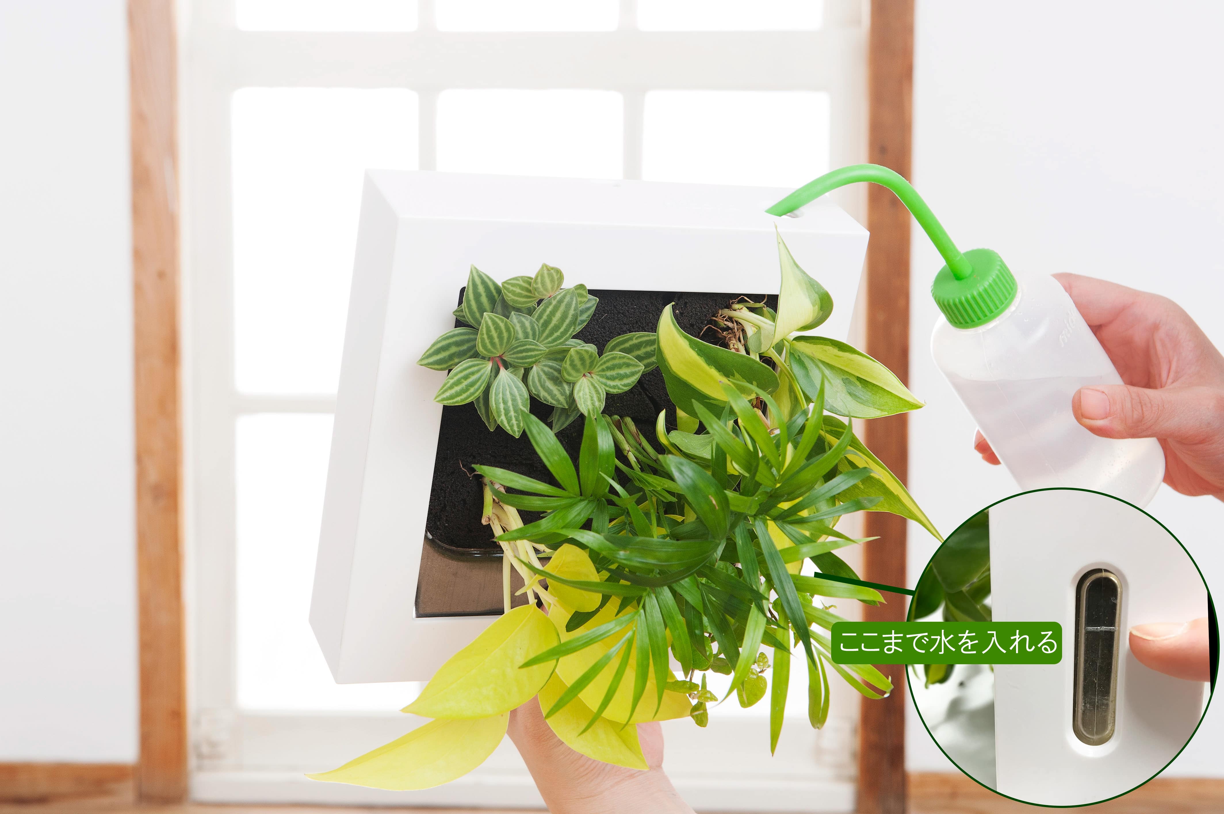 取り扱い説明書（FRAME・GREENFRAME)