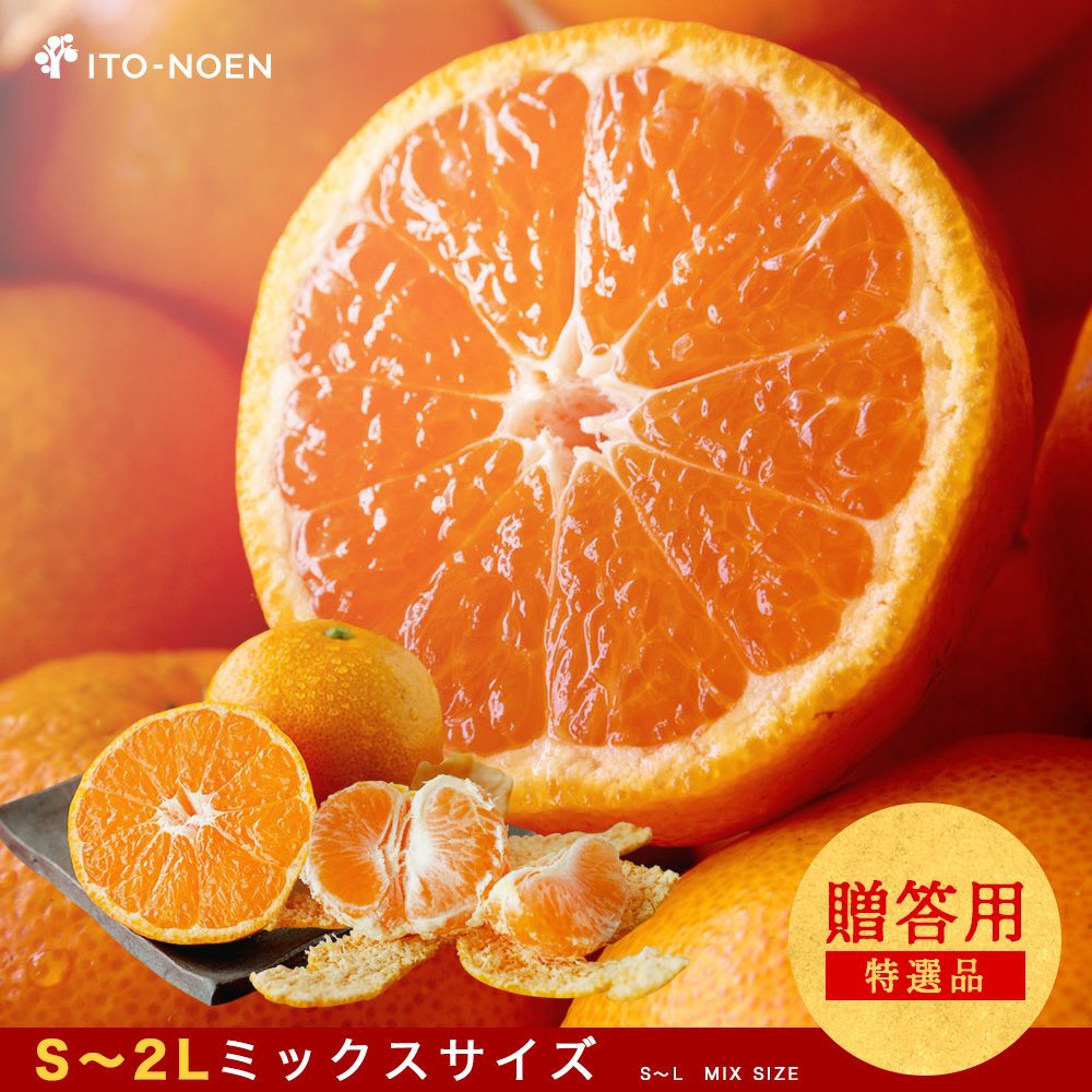 000000000152-01-xl.jpg?t=