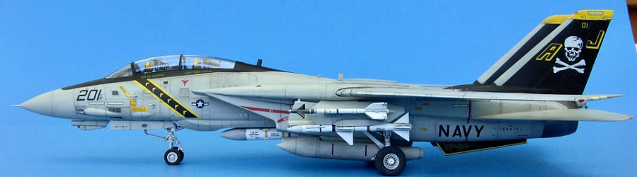 Hasegawa 1/48 F-14A Tomcat, by Martin McClendon