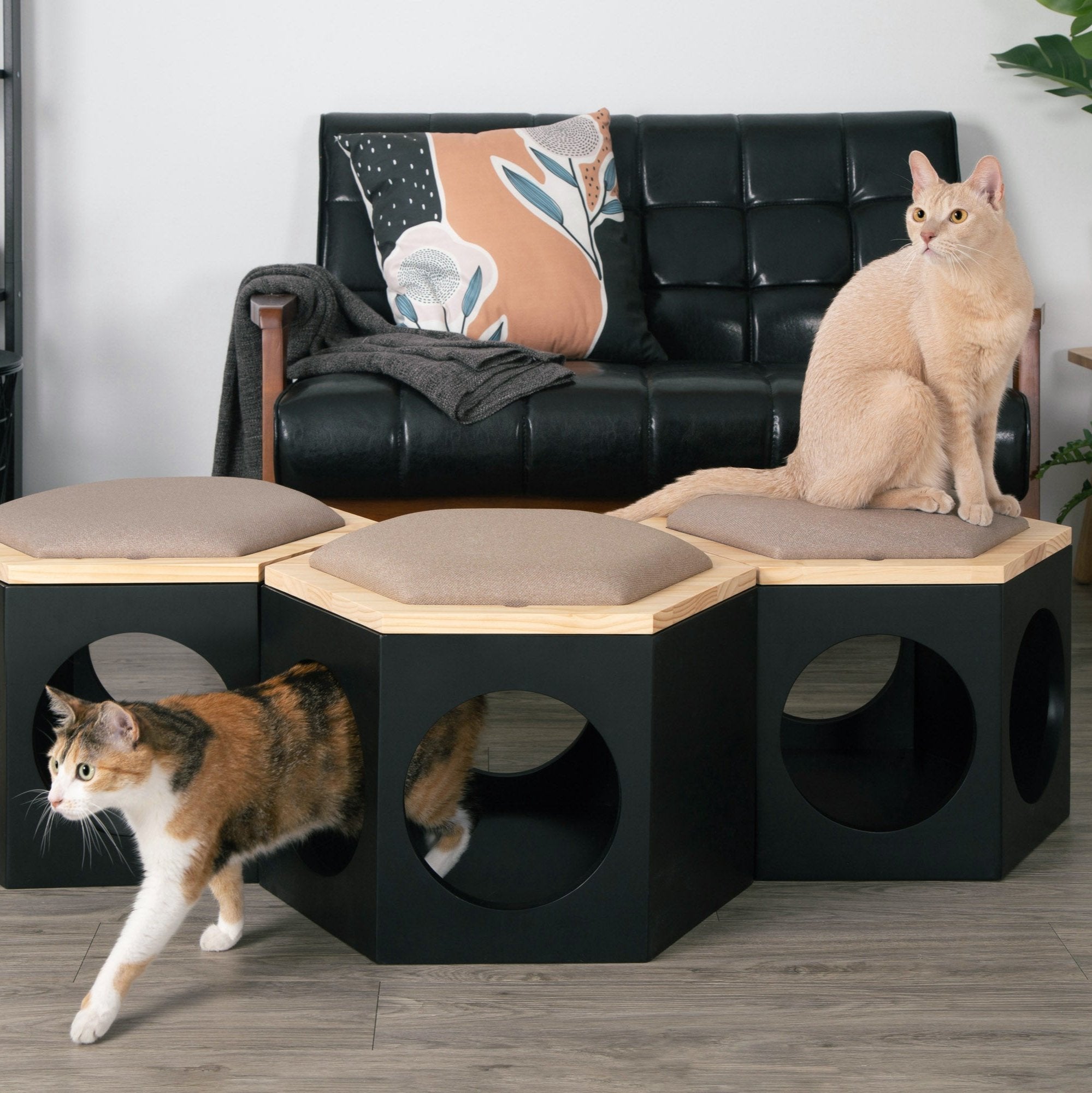 Busycat Chair Set