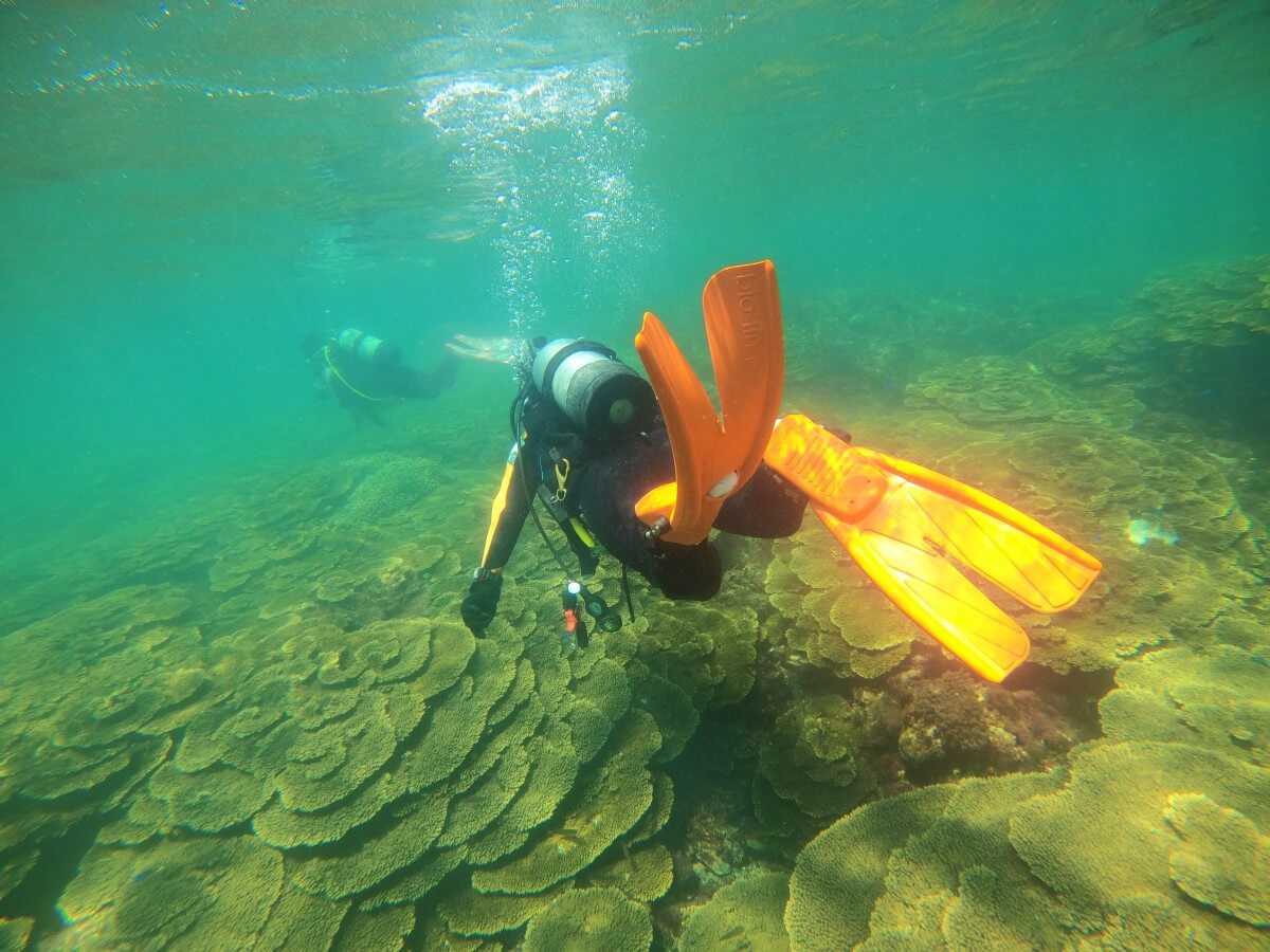 愛知県から日帰りでも行ける「赤鯱前ビーチとボート」なぎさひろい旅行