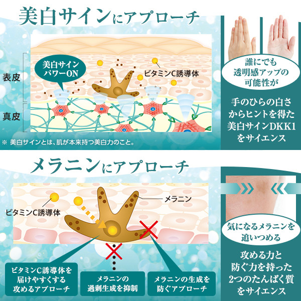 定期購入】ホワイトプログラム 薬用エッセンス V | ナガセビューティ