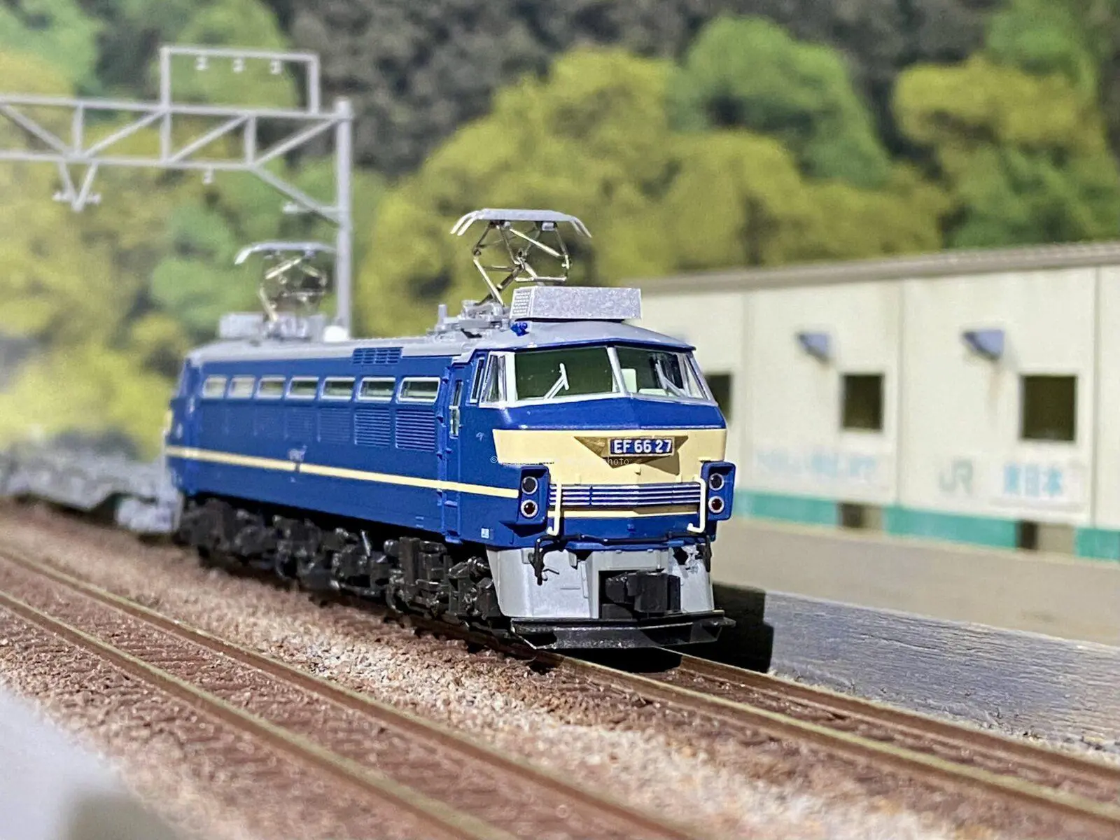 EH800を弄る。その1 TOMIX 9158 | NGaugeJP - 横濱模型 | 鉄道模型N