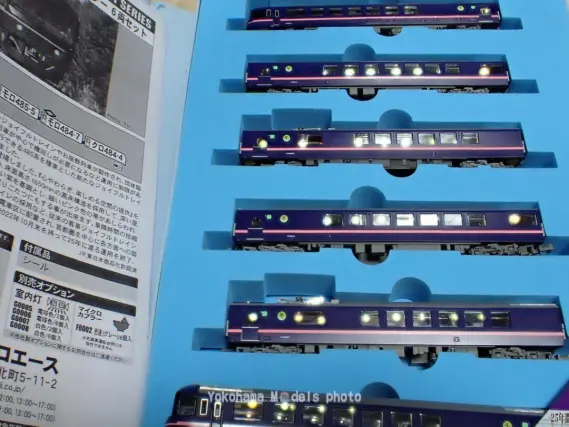 485系 お座敷列車「華」TG02編成（高崎車両センター）を弄る。DENSHA