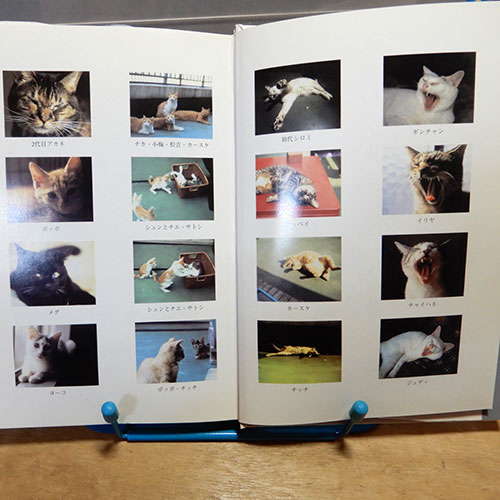 坂崎幸之助『ネコロジー』 | 猫好きが読んだ千冊の本