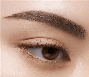 ケイト アイブロウペンシルZ BR－5(ｱｯｼｭﾌﾞﾗｳﾝ): ビューティーケア