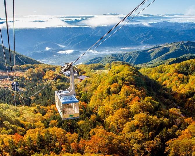 栂池自然園の紅葉(長野県) ｜紅葉名所2025