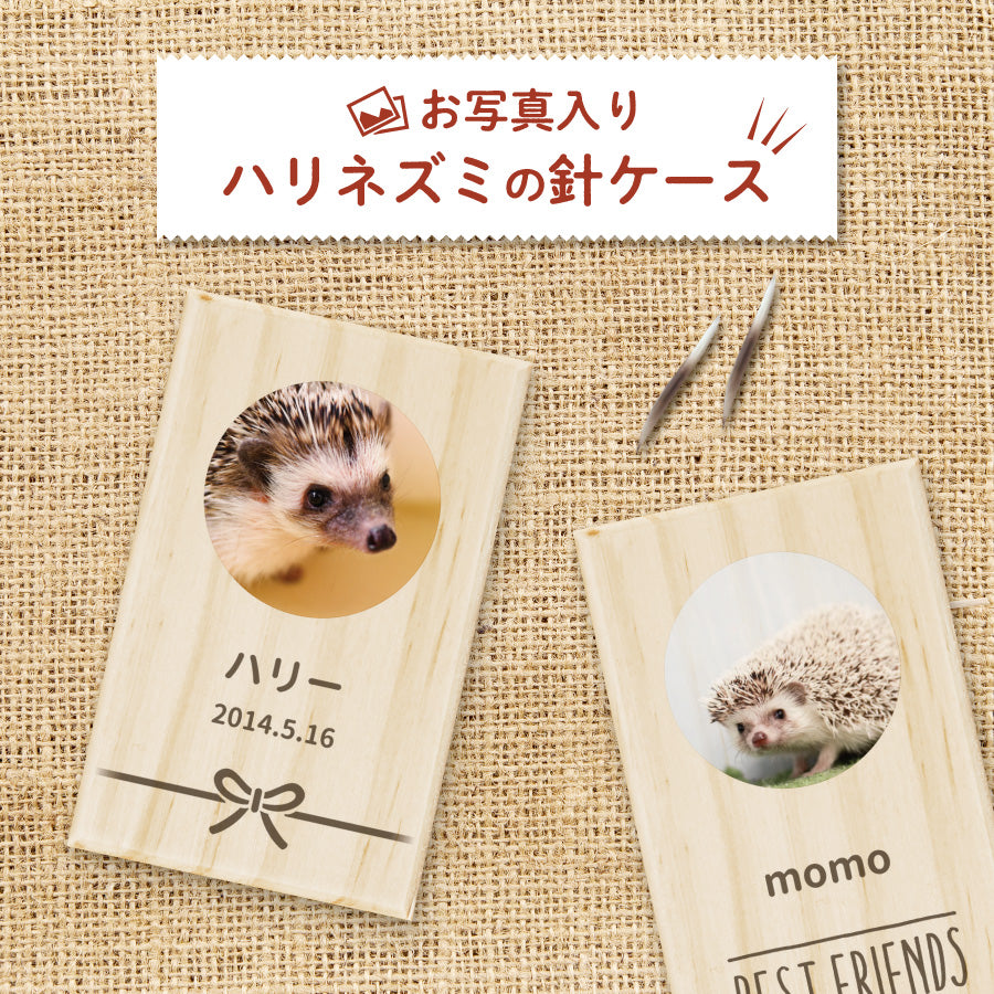 ハリネズミの針ケース – Nextore