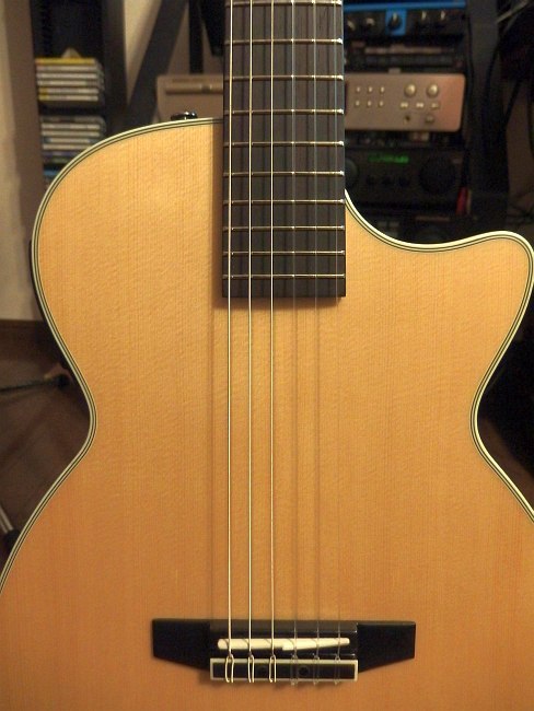 のぼみ～日記 2013/12/28の2 Crafter CT-125Cというエレガット