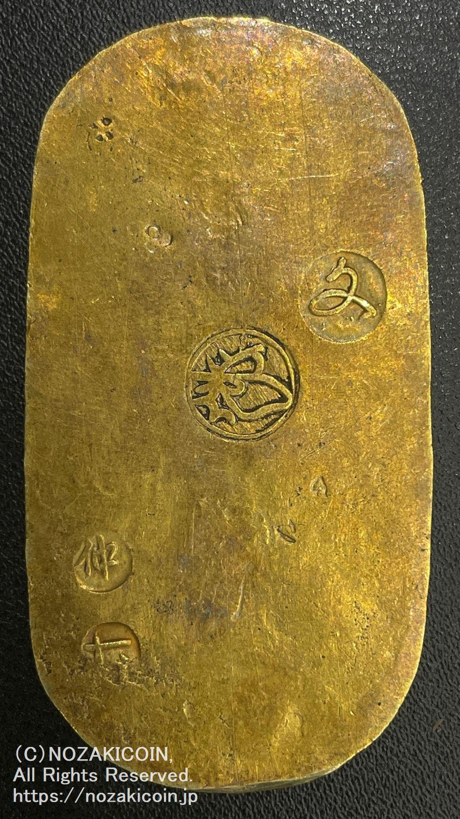 IMG_4847_900x.jpg?v=1697008169