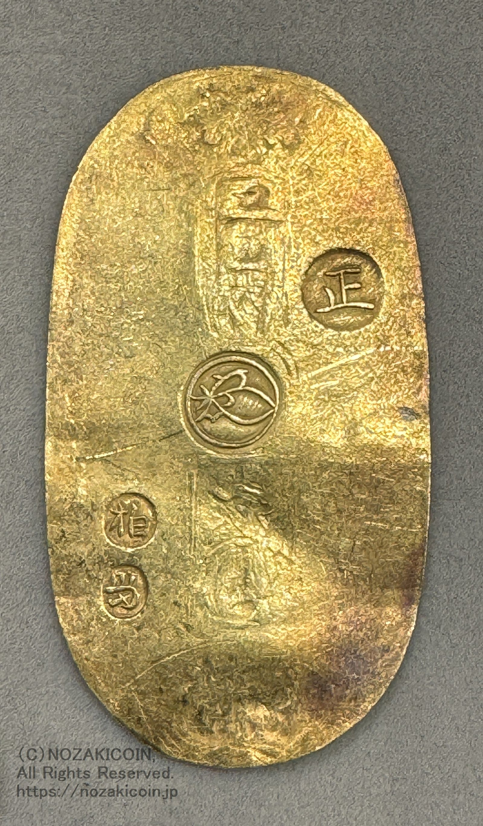 IMG_8850_1600x.jpg?v=1725005018