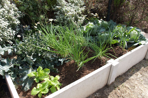 エクステリア・ガーデニング通販 NXstyle｜建材｜畑の土・山土・山砂