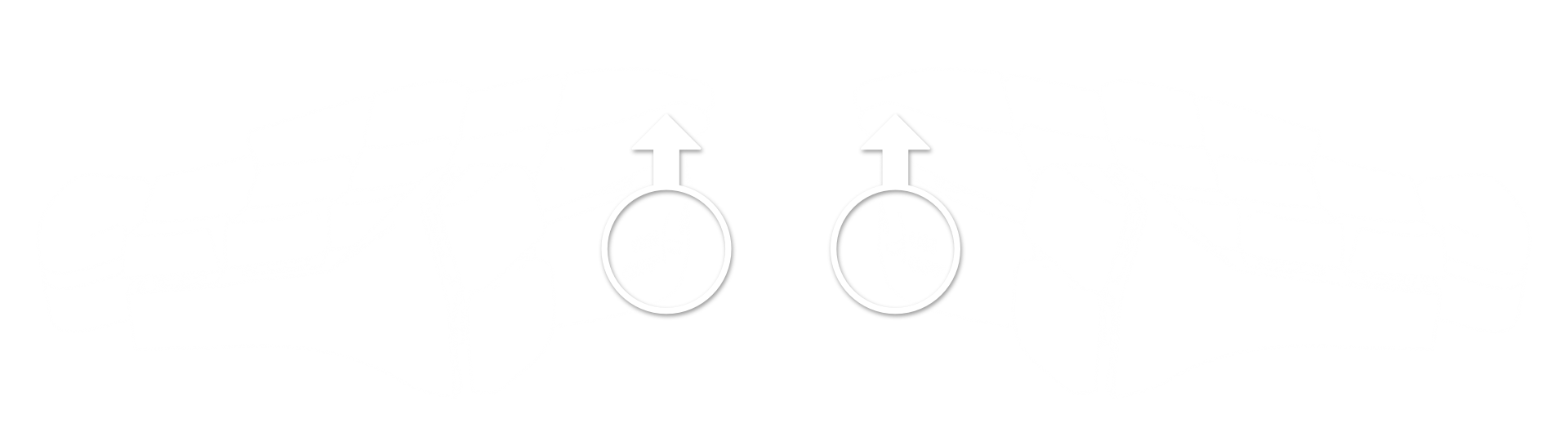 おさかなユーザーガイド