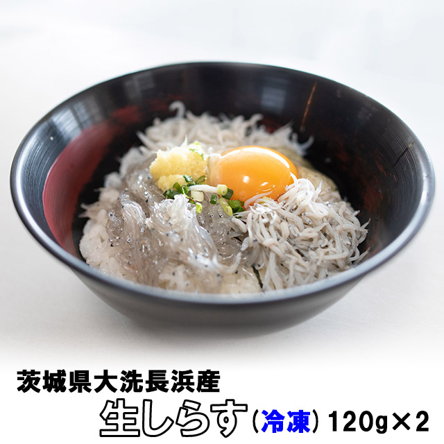 シラス しらす お歳暮 生しらす(生食用) 240g (120g×2) 贈答用 冷凍