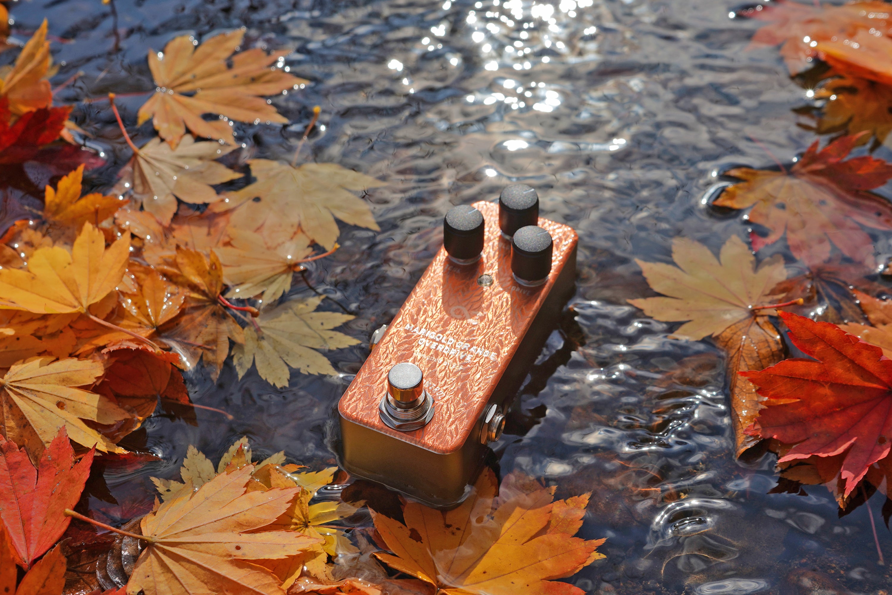 MARIGOLD ORANGE OVERDRIVE (OC-MOODn) – One Control USA