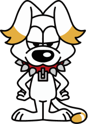 TETTA生写真セット #008」&バースデープロデュースグッズ販売の