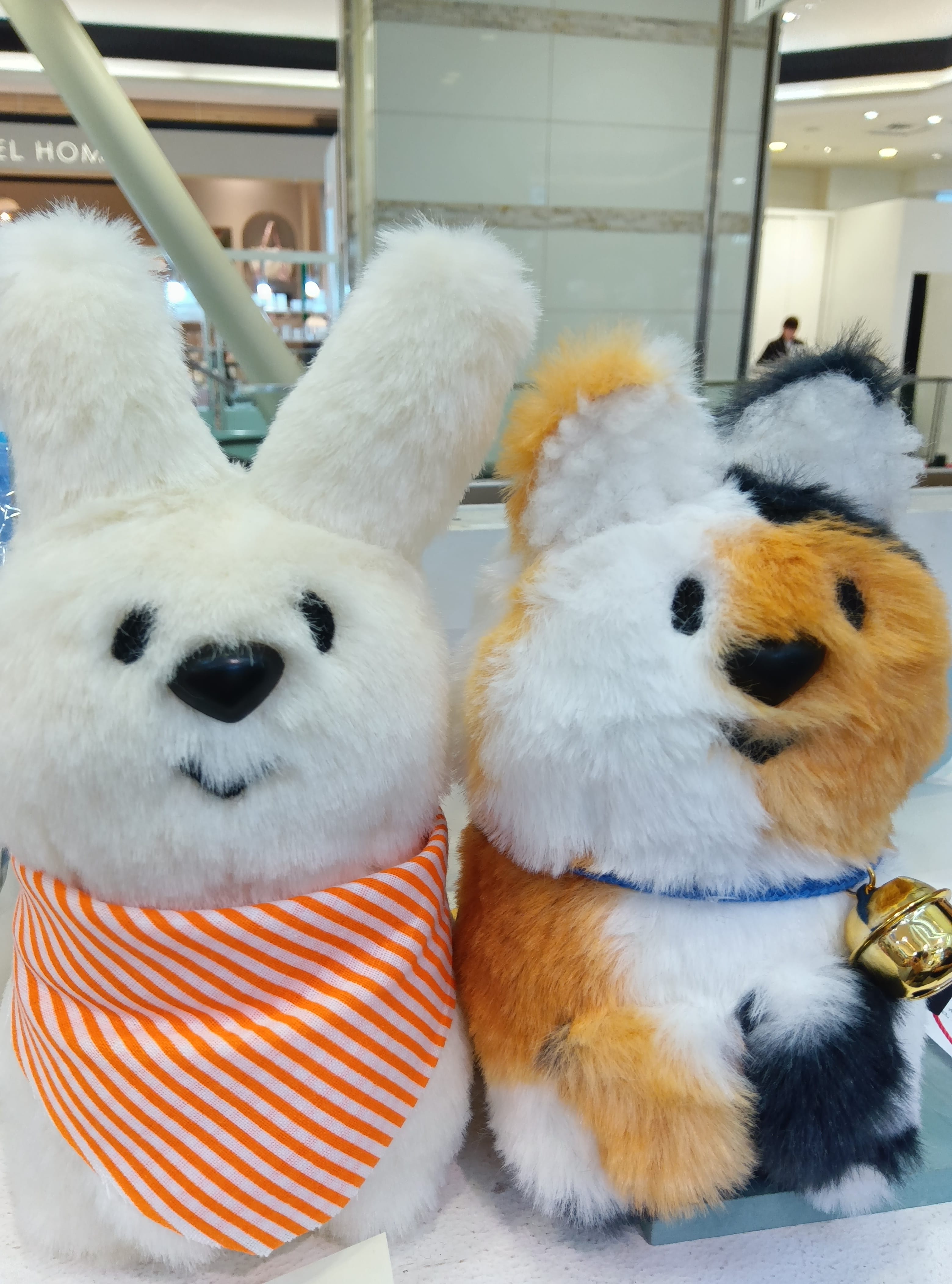 JUNKFOODOPERA 三毛猫ッカミミナガ ぬいぐるみ｜ ニュースタア｜福岡