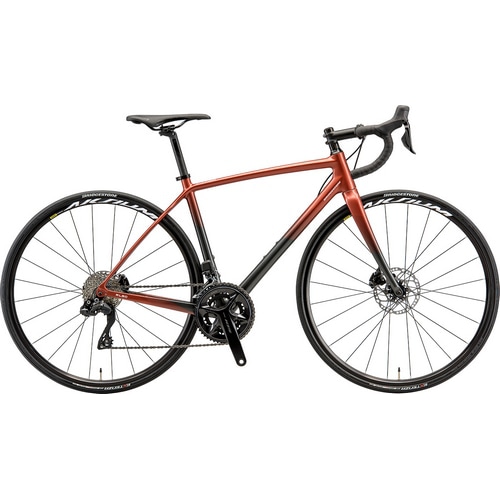 BRIDGESTONE / ANCHOR ( ブリヂストン / アンカー ) ロードバイク RL8D