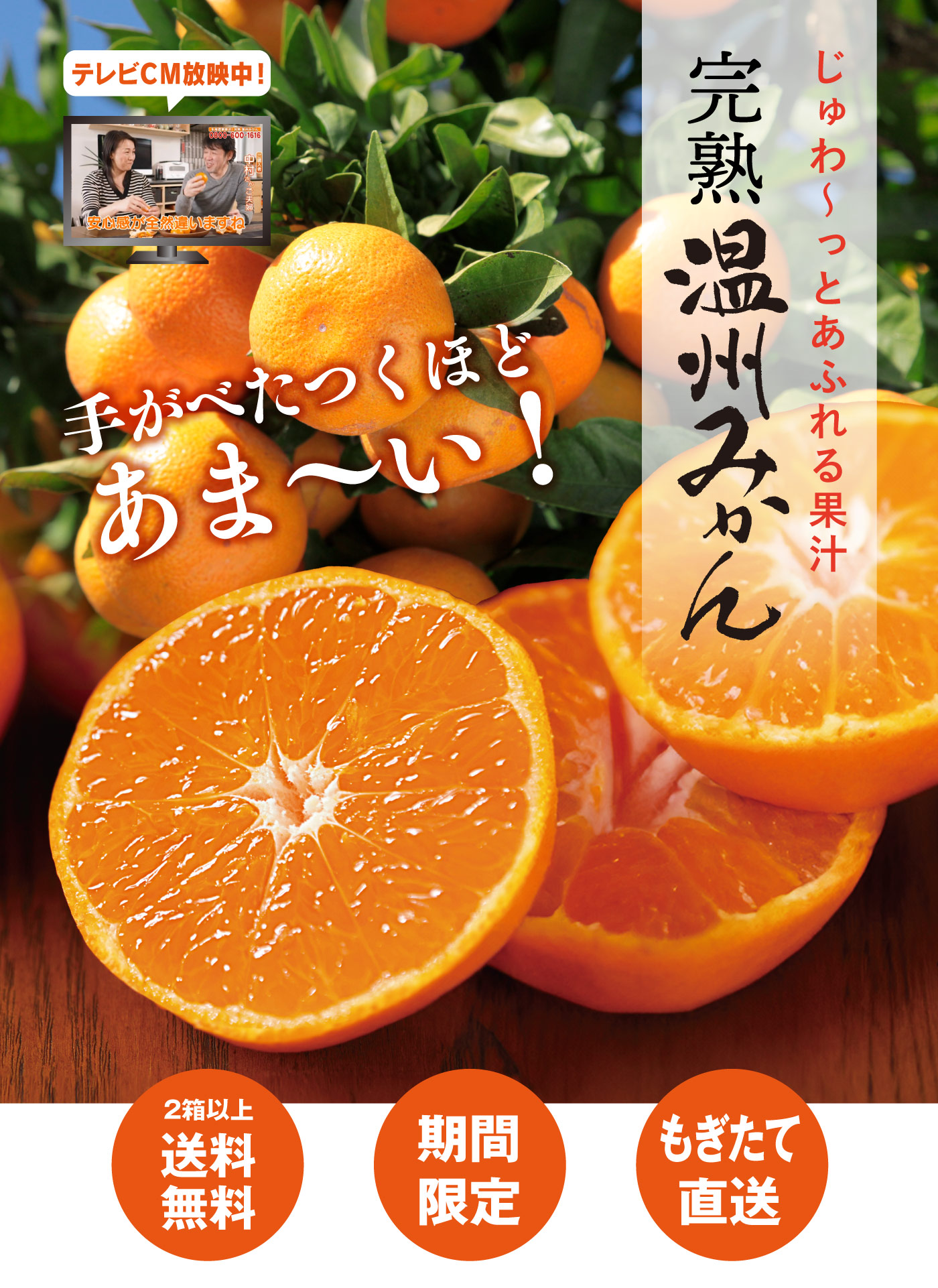完熟温州みかん＜広告の品＞テレビCM放送中 お試し甘いみかん 生産者
