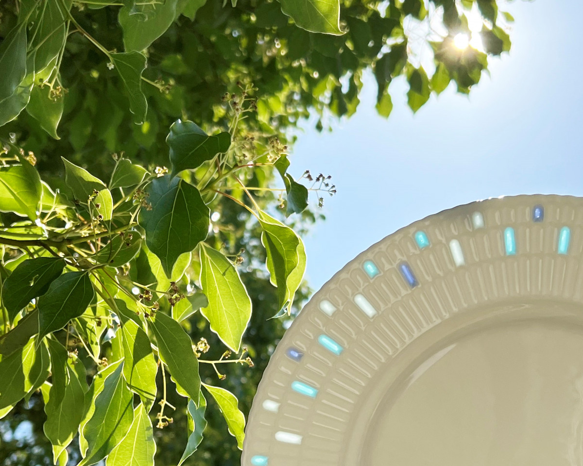 ドラマ『恋マジ』あのお皿が手に入る！ガラス×ボーンチャイナの