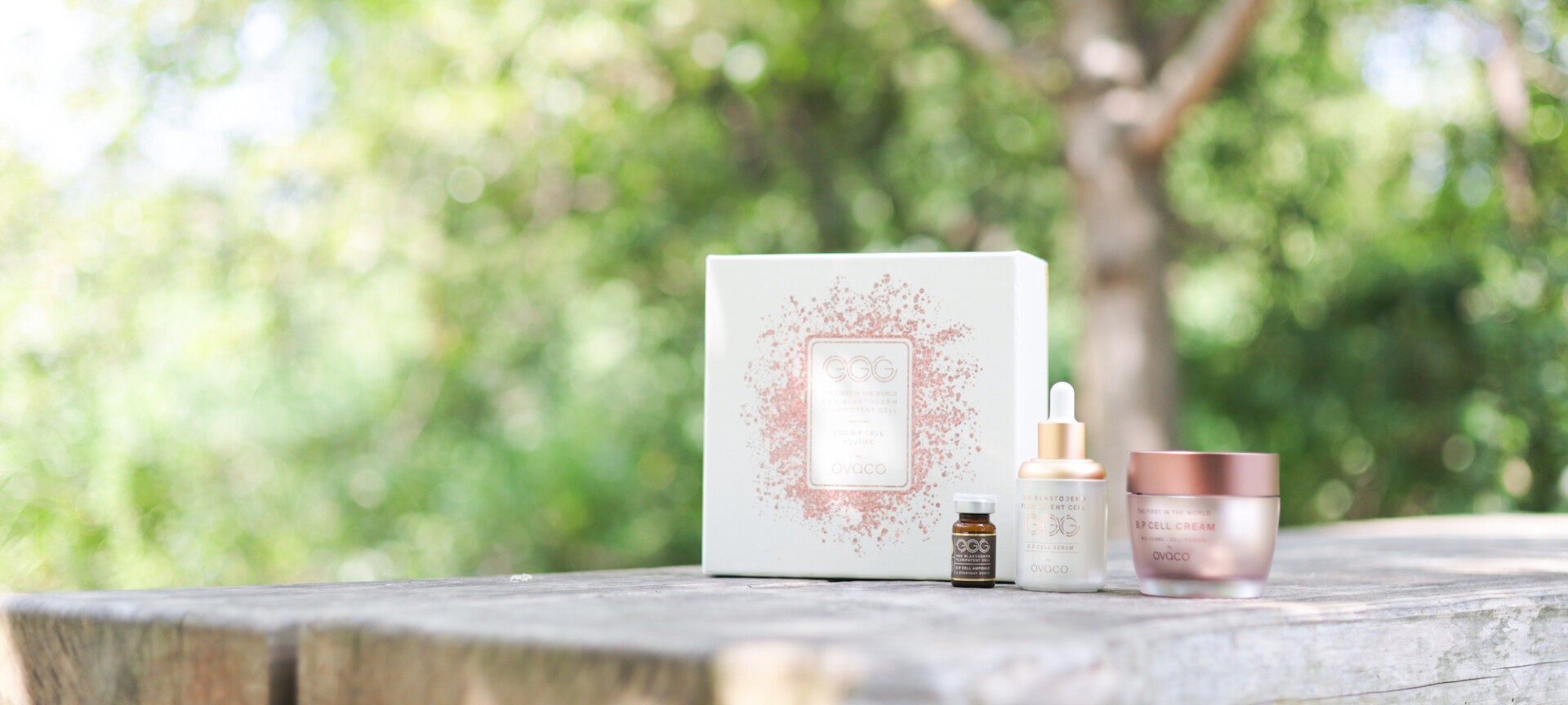 オバコ ビューティーセット - ovaco（オバコ化粧品）【株式会社エスター】