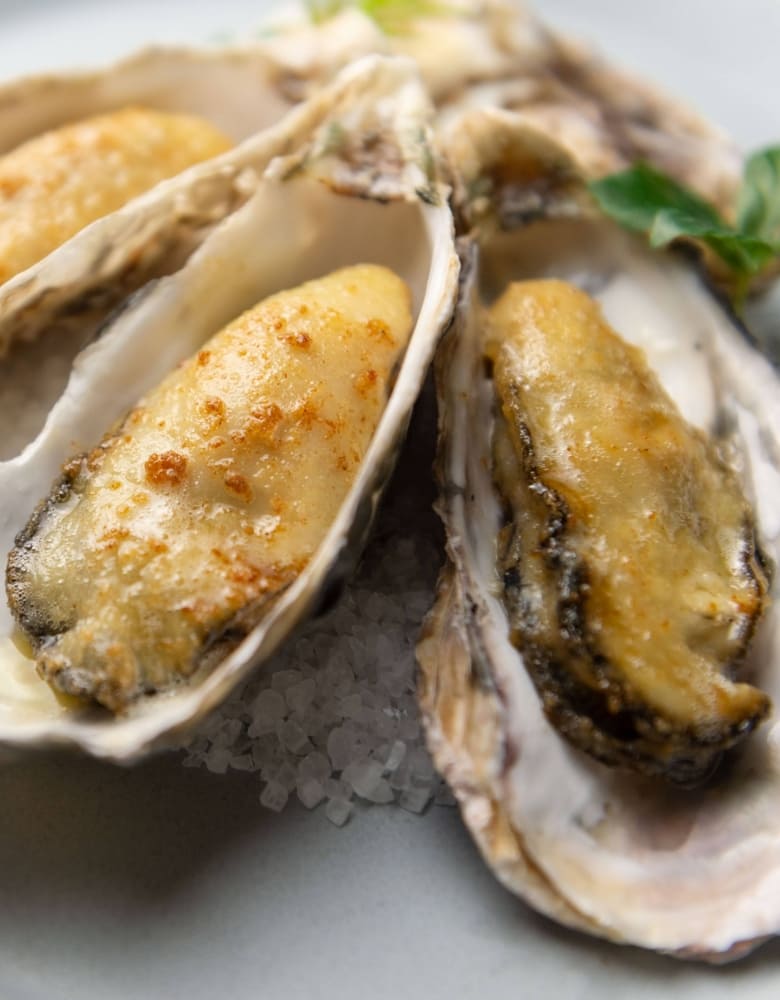 店舗検索・予約｜全国のゼネラル・オイスター直営オイスターバー一覧