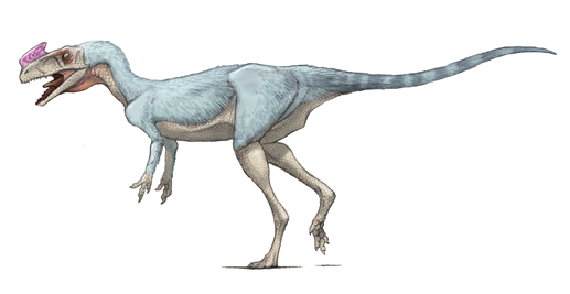プロケラトサウルス（Proceratosaurus ）・川崎悟司イラスト集