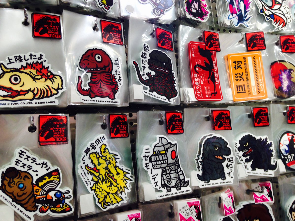 直営店より♫】こんにちは！お待たせいたしました、本日よりお店に登場