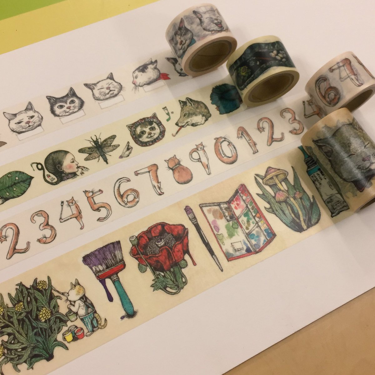 ヒグチユウコ×ホルベイン コラボグッズ登場✨ 限定のミツロウクレヨン