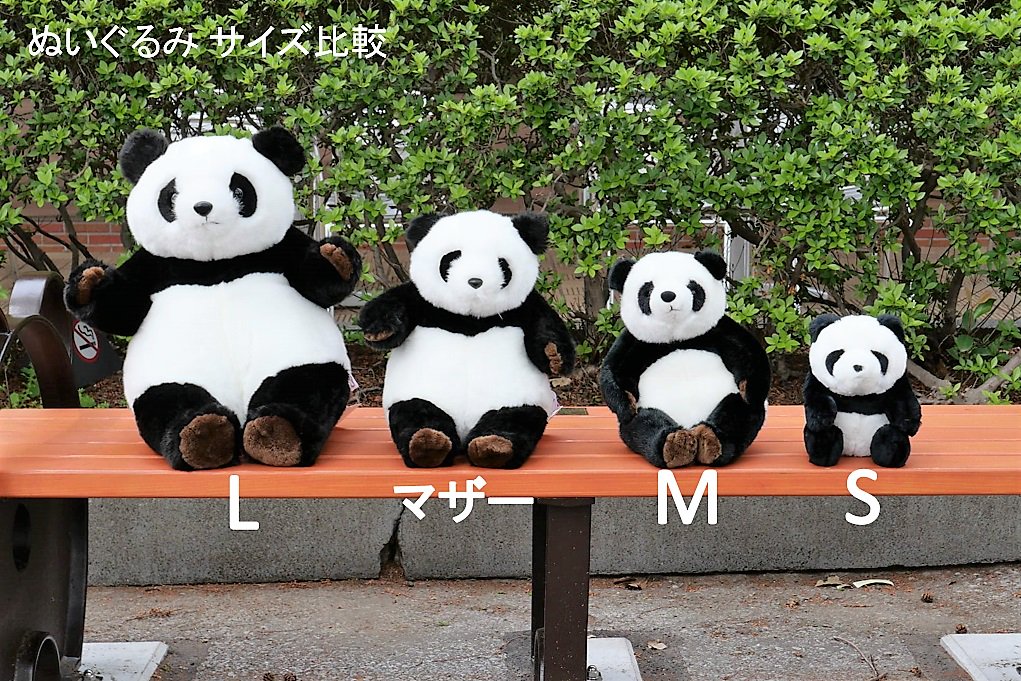 S・M・マザーをはさんで、L！ スタンダードなジャイアントパンダの