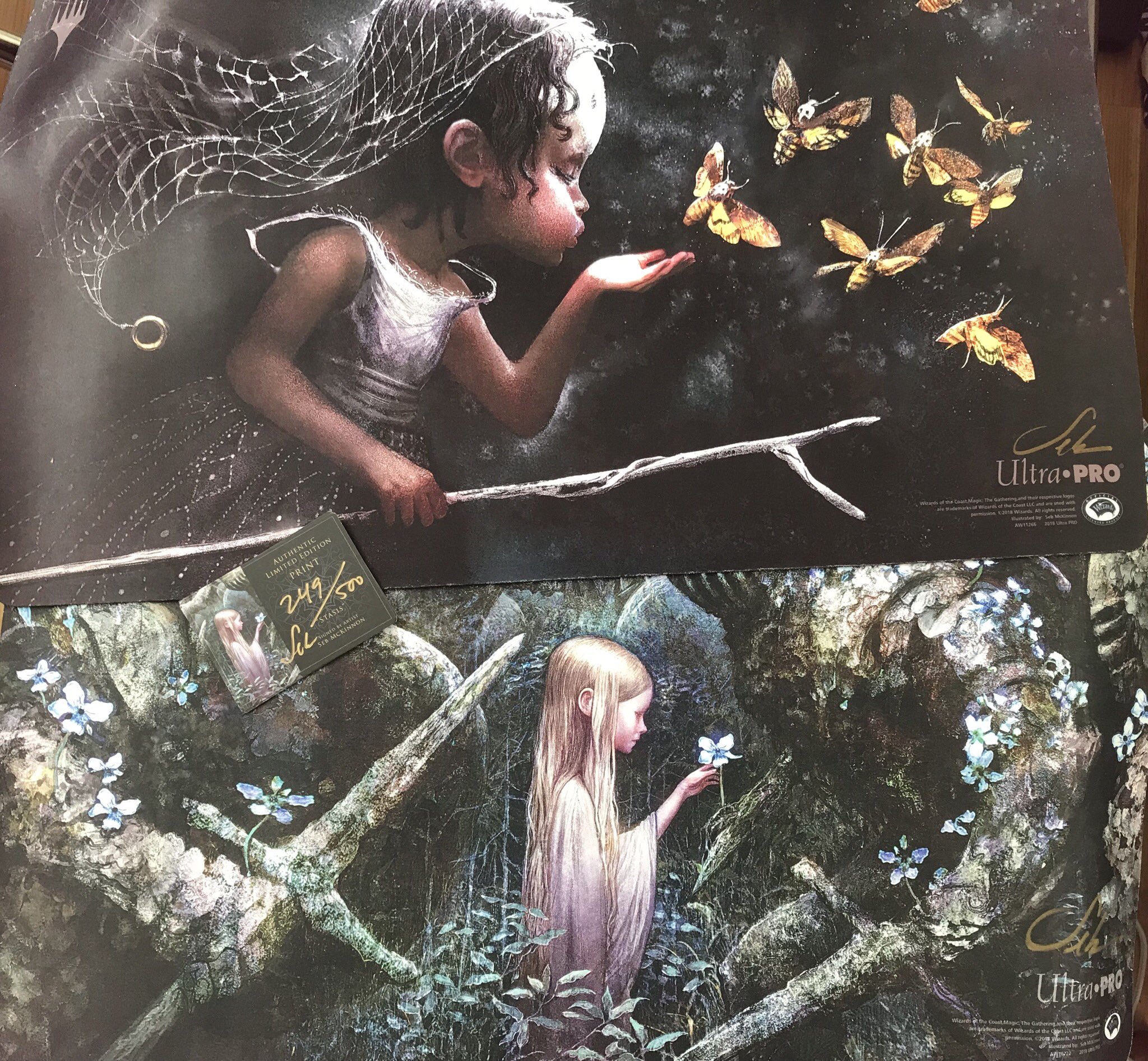 停滞 プレイマット Seb McKinnon サイン入り MTG 停滞 プレイマット