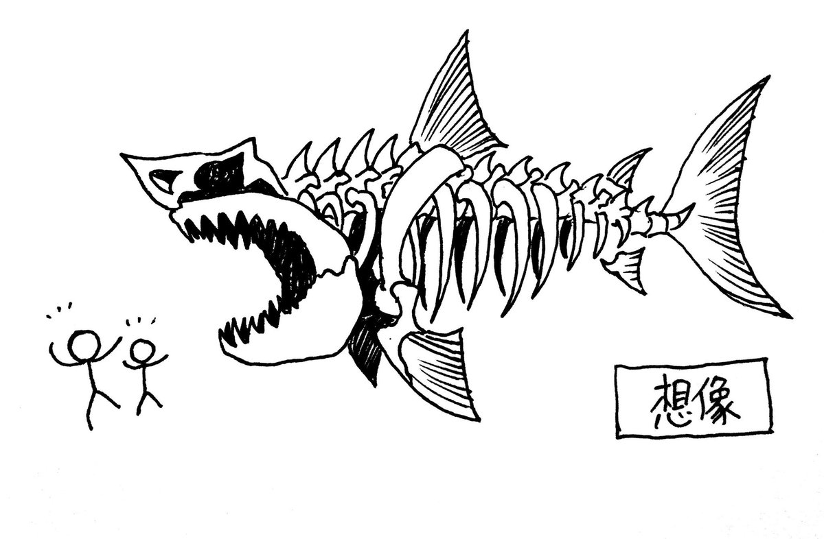 メディアや一般人が想像するサメの全身骨格と、現実の全身骨格の