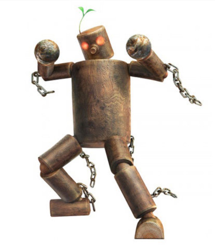 今日は截拳道の練習で木人を使いました！木を殴ってるから手が痛い