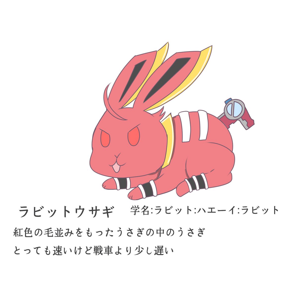 ニチアサ動物園には うさぎがいっぱい ＃仮面ライダービルド ＃nitiasa