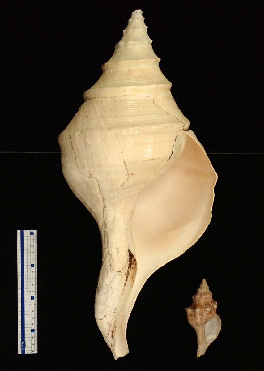 E2x6gG4VEAQhD07.jpg?format=jpg