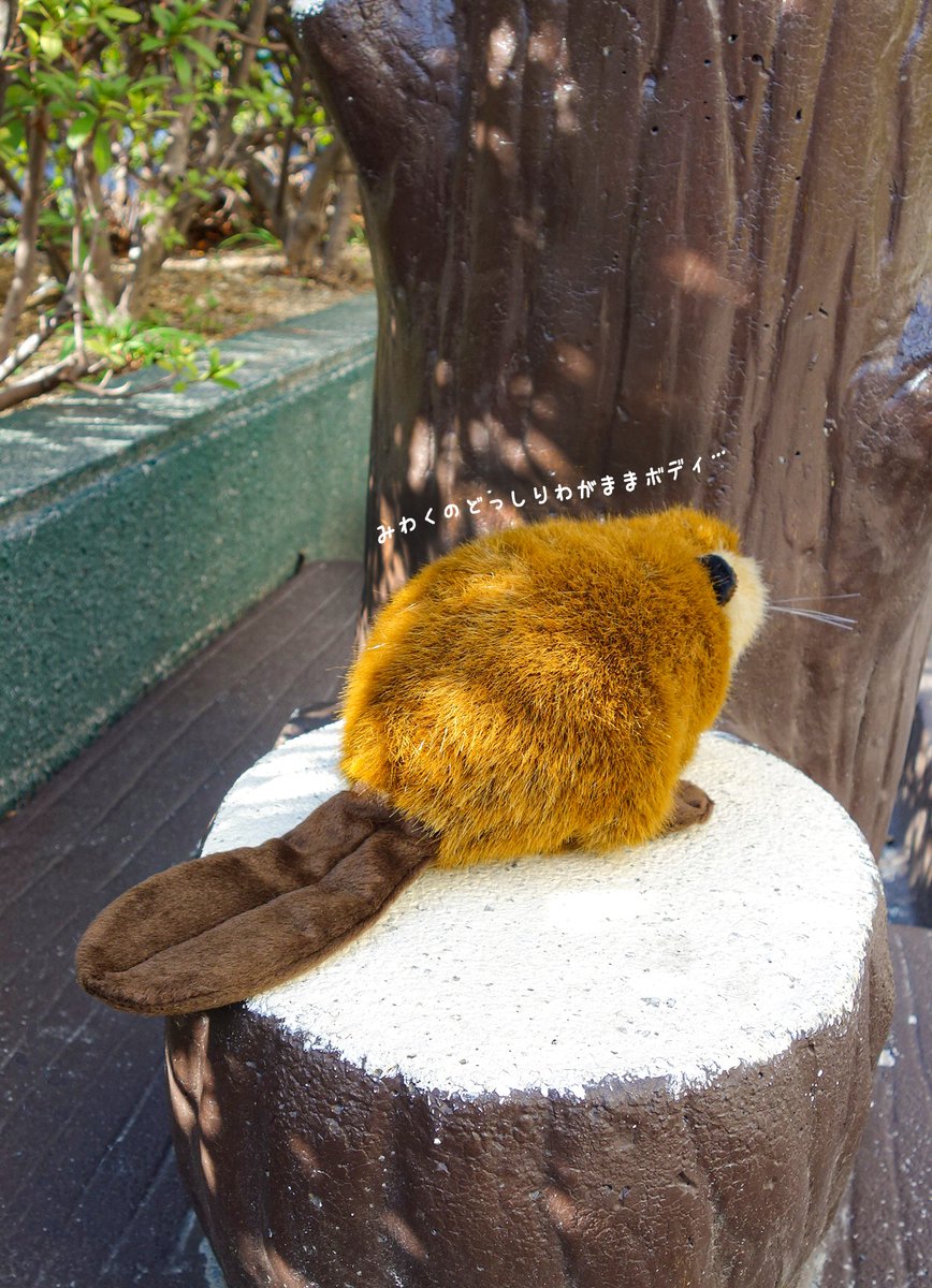 EwUtHzAVkAM3LoD.jpg?format=jpg