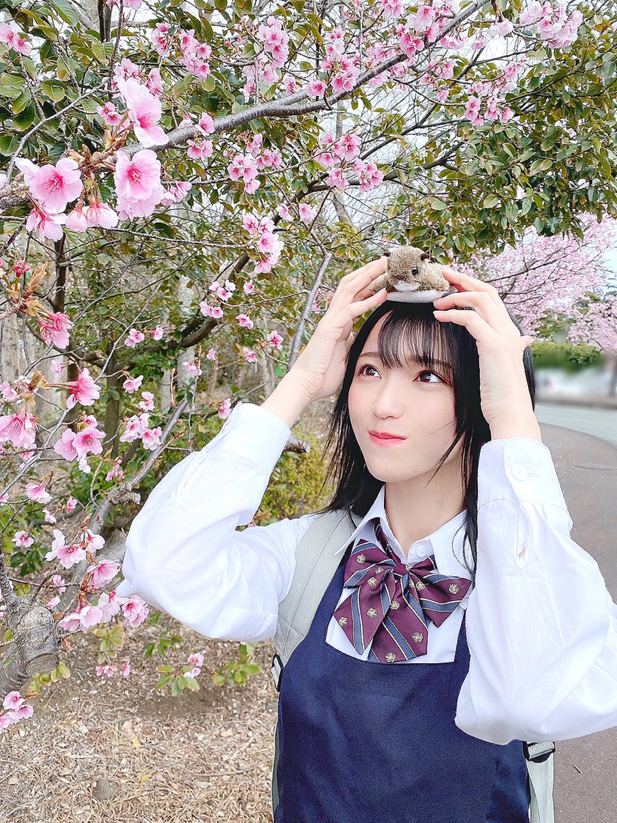 LOVE 1stアルバムのリード曲 『 #桜の咲く音がした 』🌸𓈒𓂂𓏸 MVが