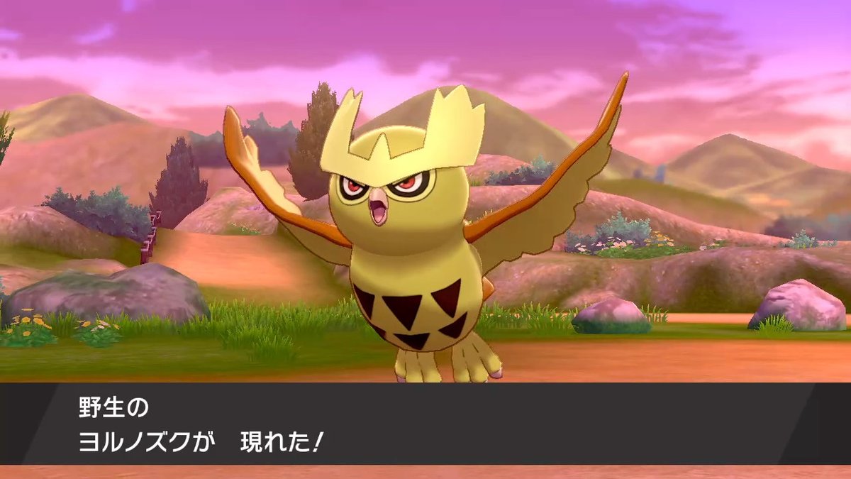 今年初の色違いはこの子 色ヨルノズクでした！金色でめでたさアップ