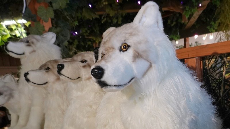 NEW ✨発売中～ホッキョクオオカミぬいぐるみOriginal。サイズは