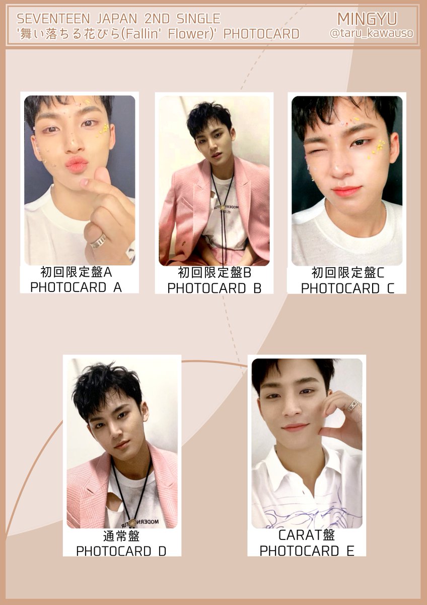SEVENTEEN セブチ 舞い落ちる花びら Fallin' Flower フォトカード