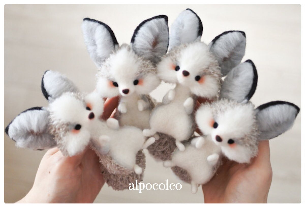 プラチナキツネのコンジロー🦊 仕上がりました♪ #プラチナキツネ #狐