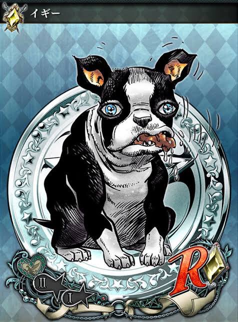 イギー】 出典:ジョジョの奇妙な冒険(荒木飛呂彦) 第3部に登場する犬