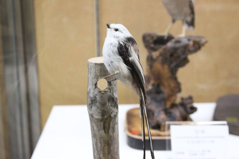 Es3eemwVkAQ9GAp.jpg?format=jpg