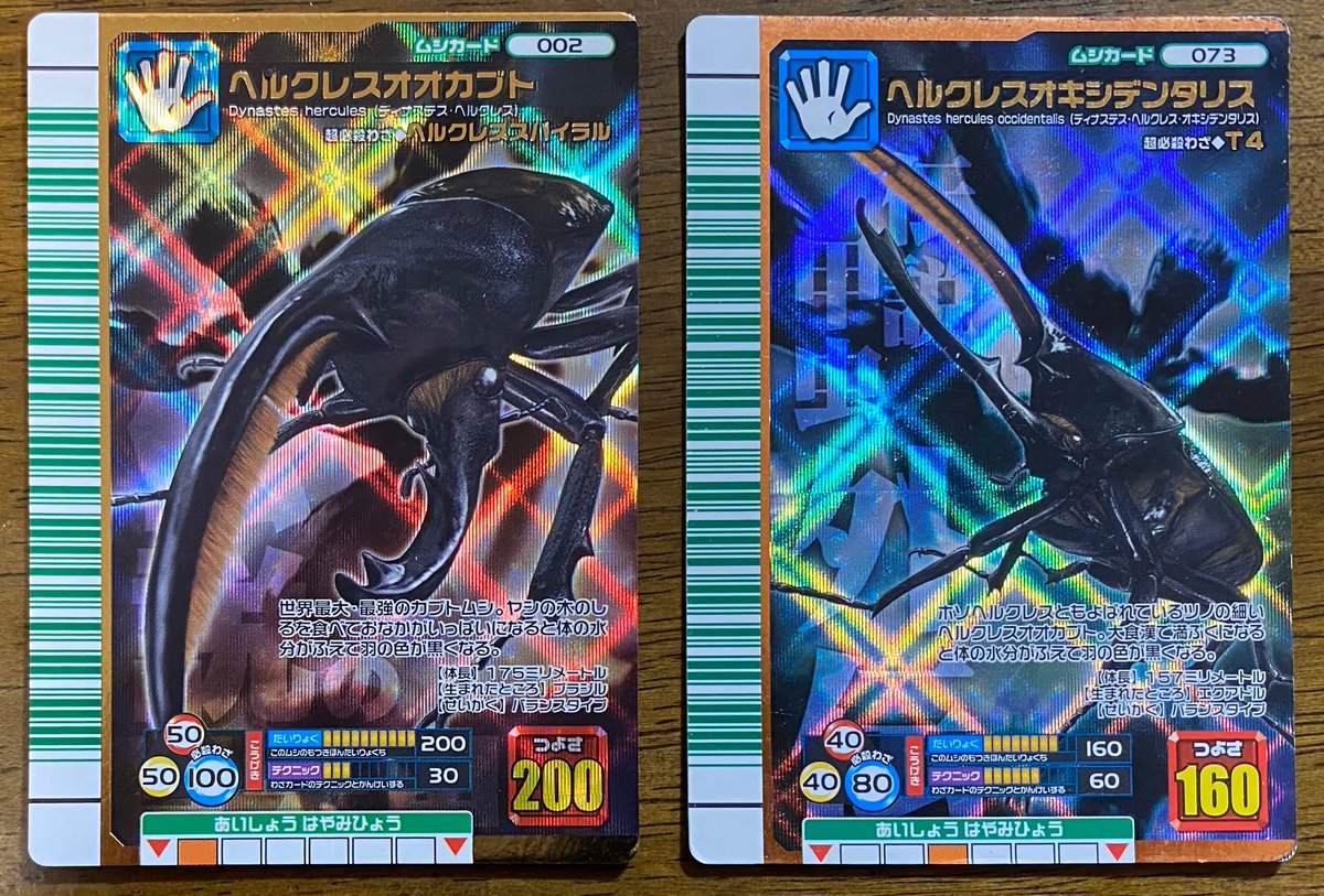 ヘルクレスオオカブトとヘルクレスオキシデンタリスは黄色の羽が特徴的