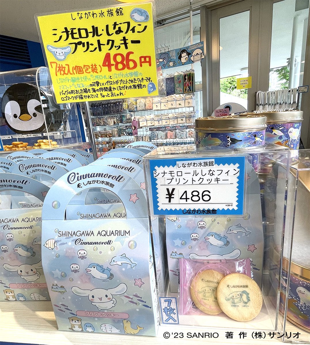 しながわ水族館のお土産屋さん『マリンショップ シーガル』では、しな