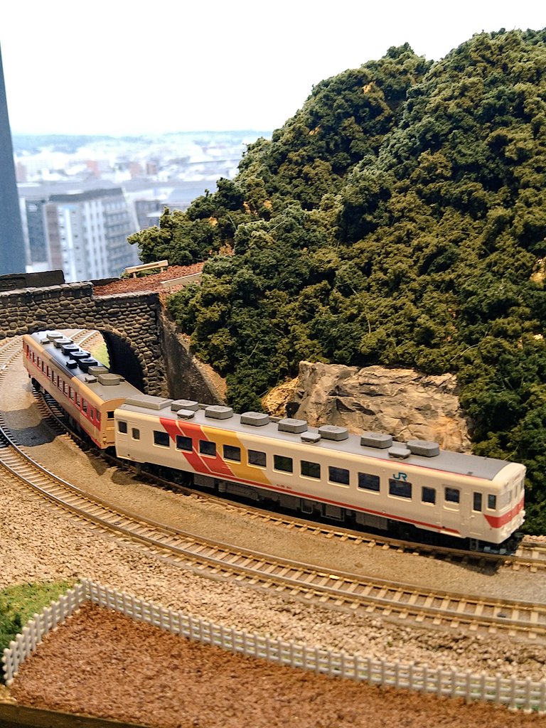 わかとりライナー】 わかとりライナーの塗色変更車2両を4両ブック